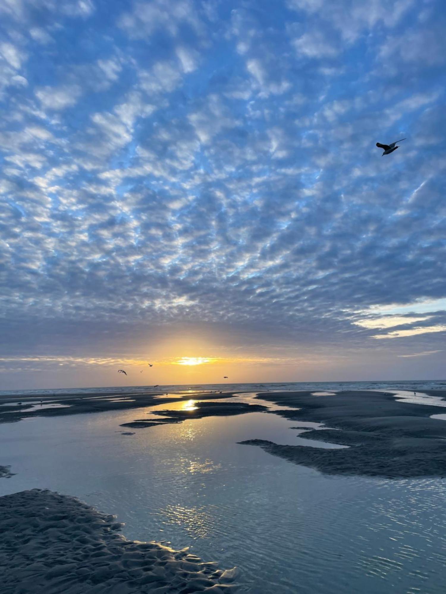 Les Gites De La Courtille Équihen-Plage Exteriör bild